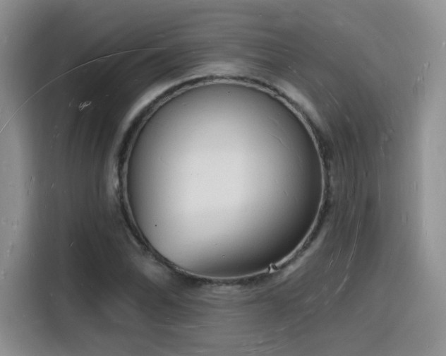 X0000116131070200911231230