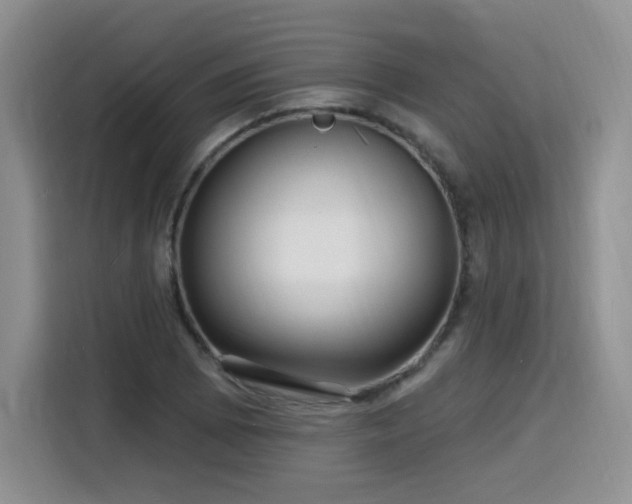 X0000116131073200911231230