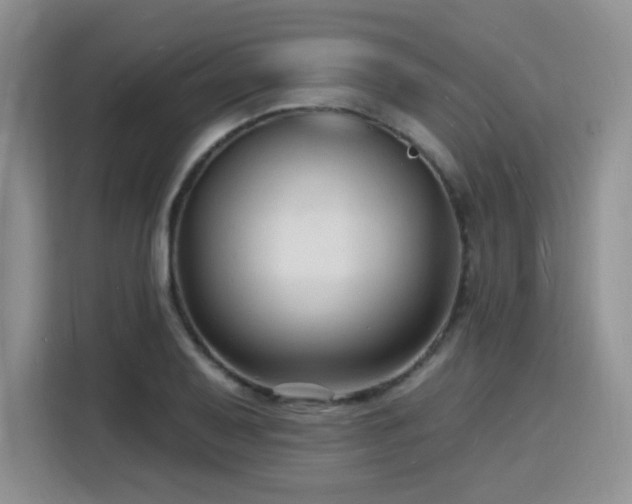 X0000116131079200911231230