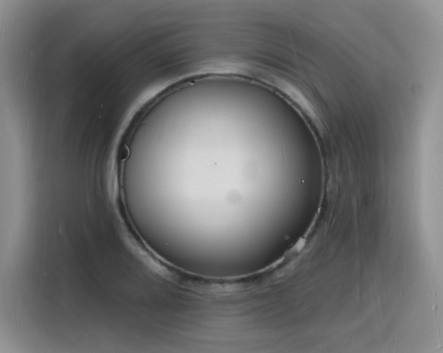 X0000116131080200911231230