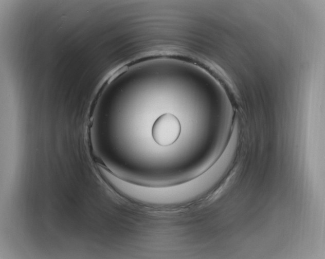 X0000116131081200911231230