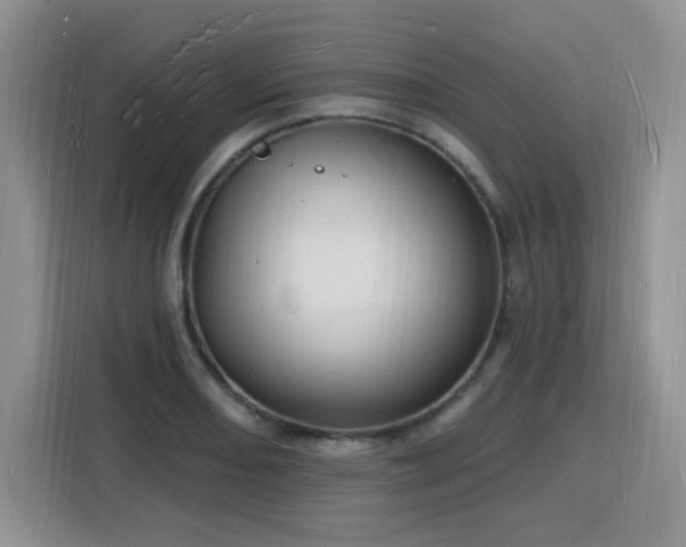 X0000116131082200911231230