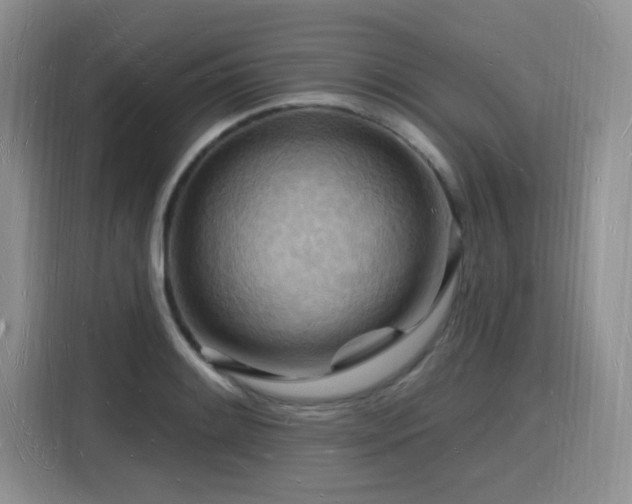 X0000116131084200911231230