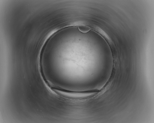 X0000116131087200911231230