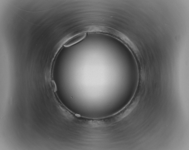 X0000116131089200911231230