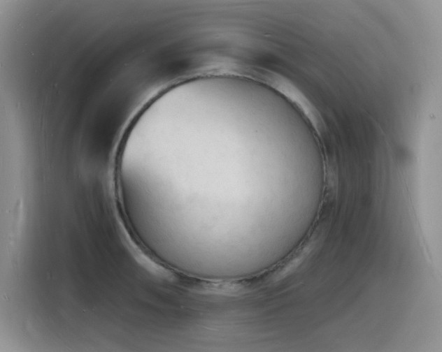 X0000116131090200911231230