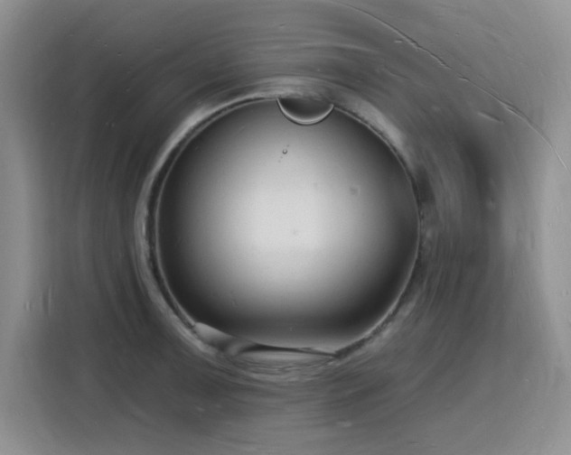 X0000116131091200911231230