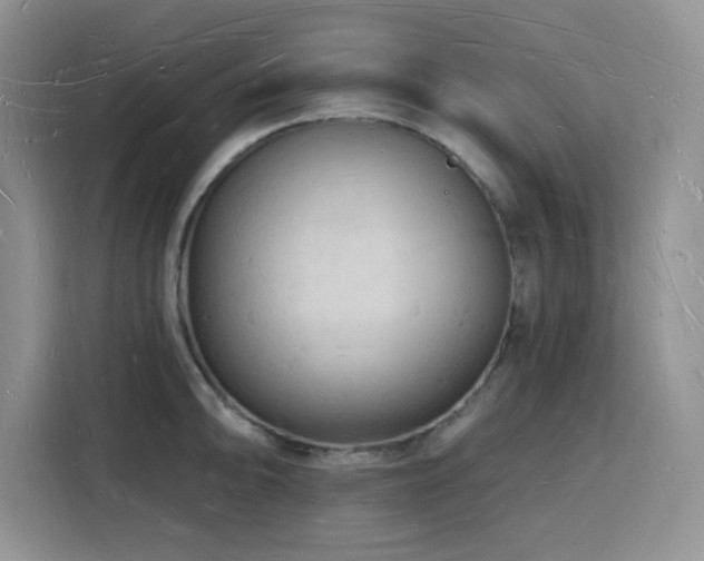 X0000116131094200911231230