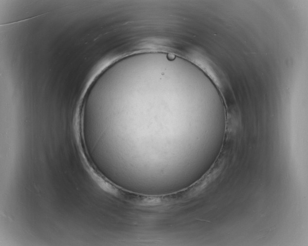 X0000116131098200911231230