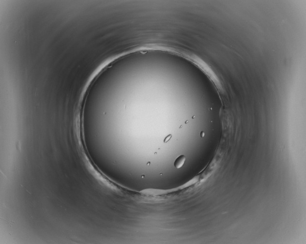 X0000116131100200911231230