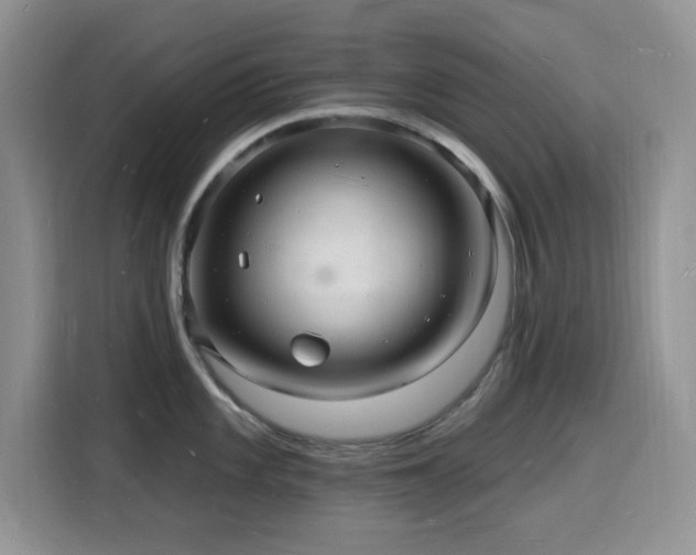 X0000116131101200911231230