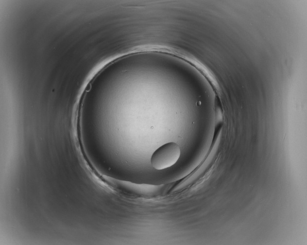 X0000116131102200911231230