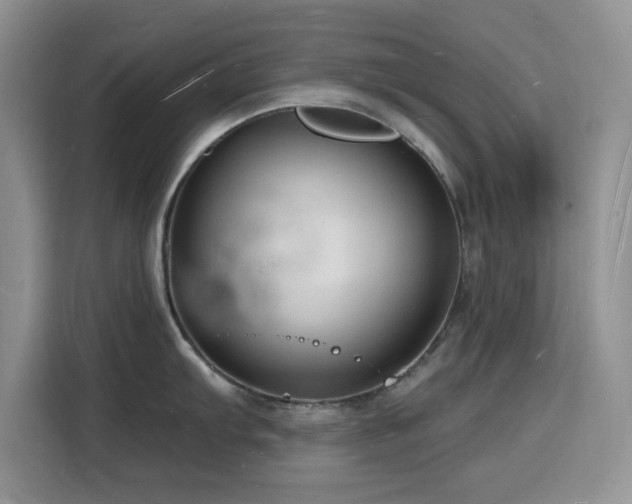 X0000116131103200911231230