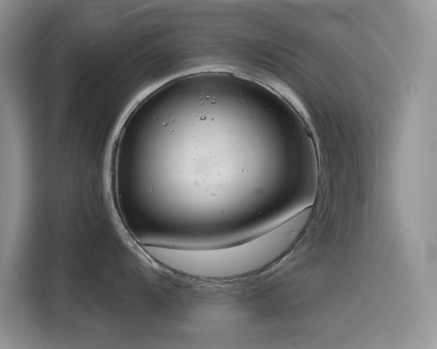 X0000116131104200911231230