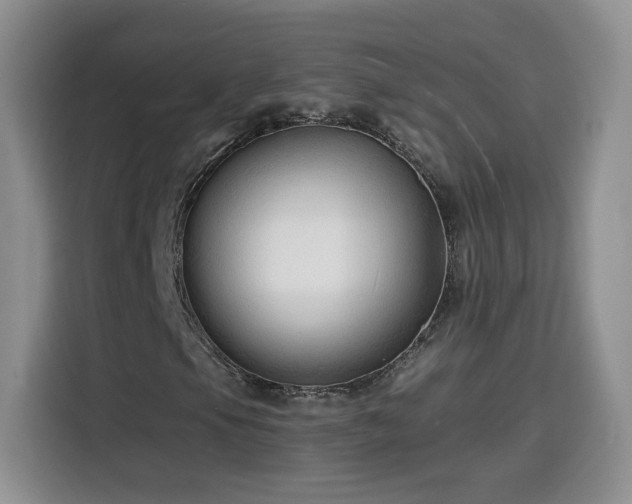 X0000116131105200911231229