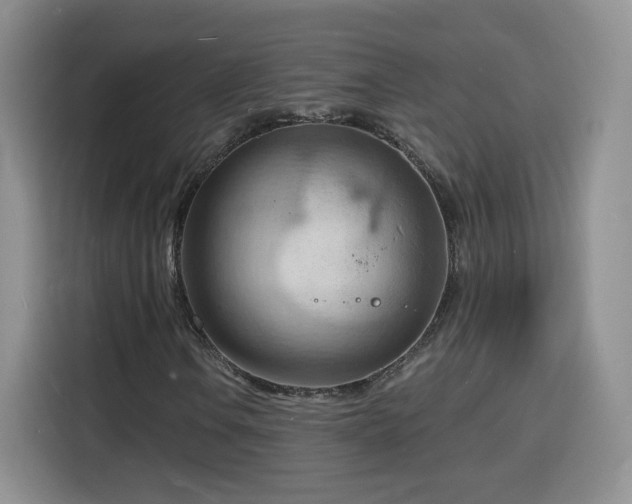 X0000116131106200911231229