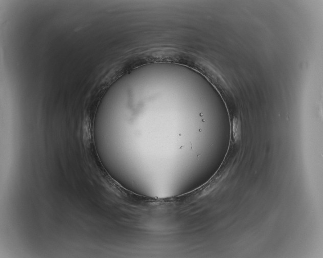X0000116131107200911231229