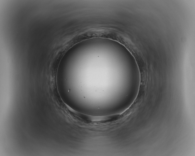 X0000116131109200911231229