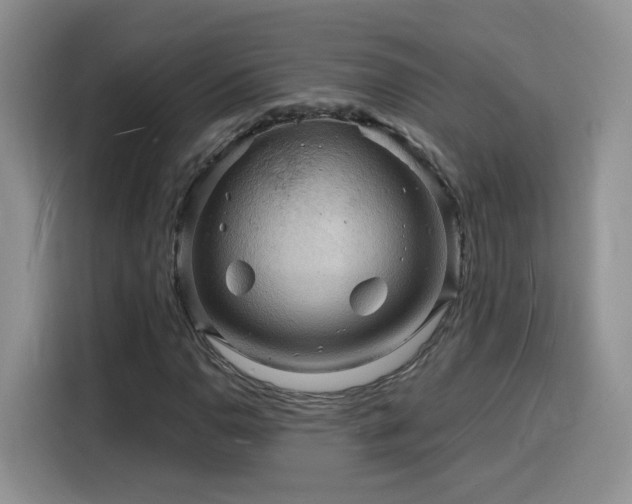 X0000116131110200911231229