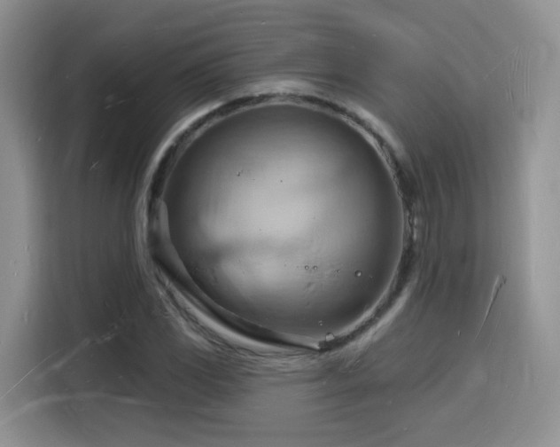 X0000116131117200911231230