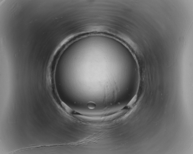 X0000116131118200911231230