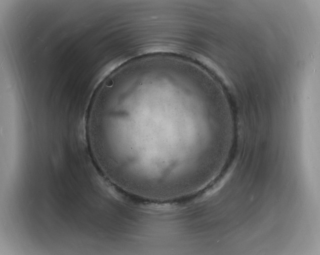 X0000116131121200911231230