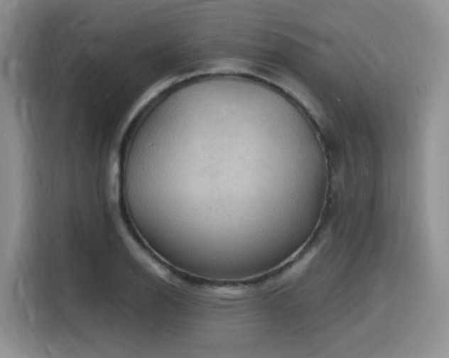 X0000116131126200911231230