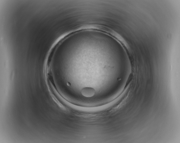 X0000116131127200911231230