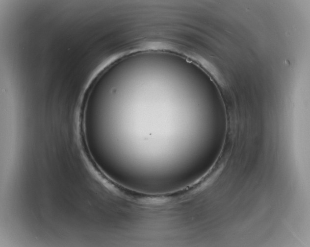 X0000116131134200911231230