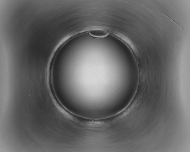 X0000116131135200911231230