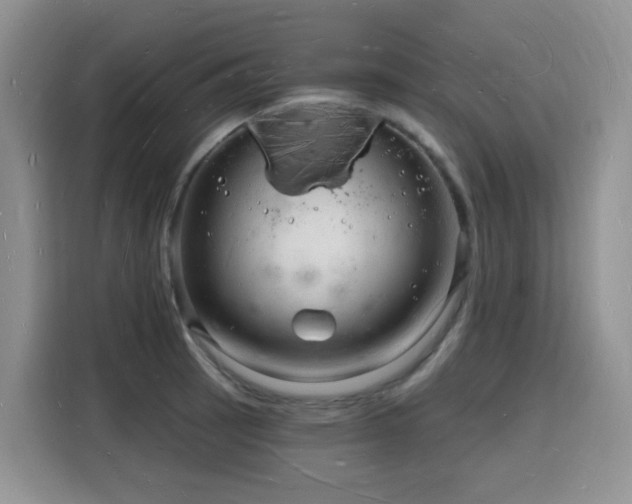 X0000116131137200911231230