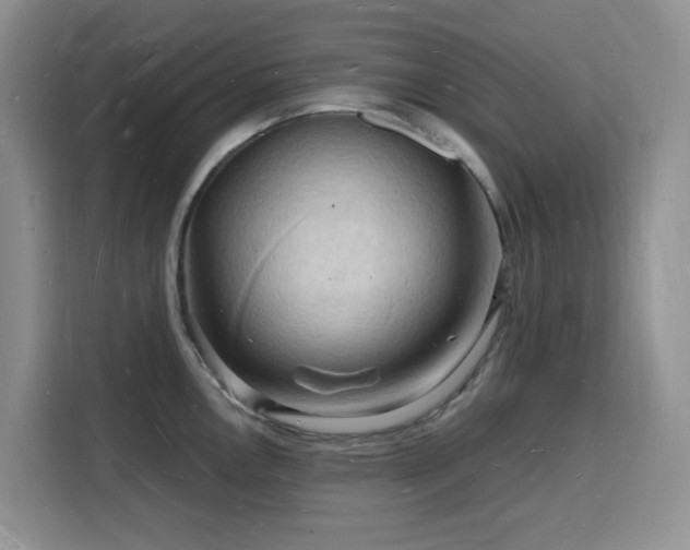 X0000116131146200911231230