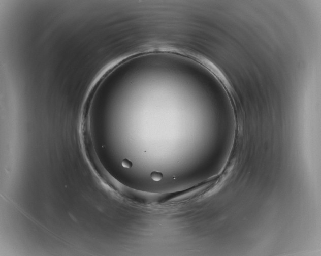X0000116131149200911231230