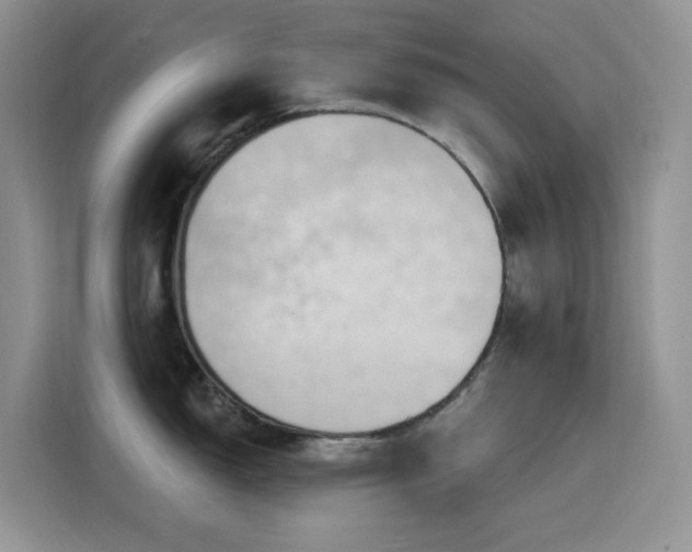 X0000116131150200911231230