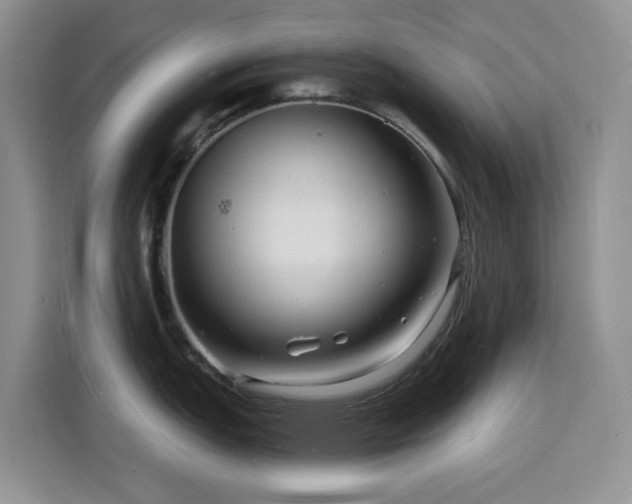 X0000116131151200911231230