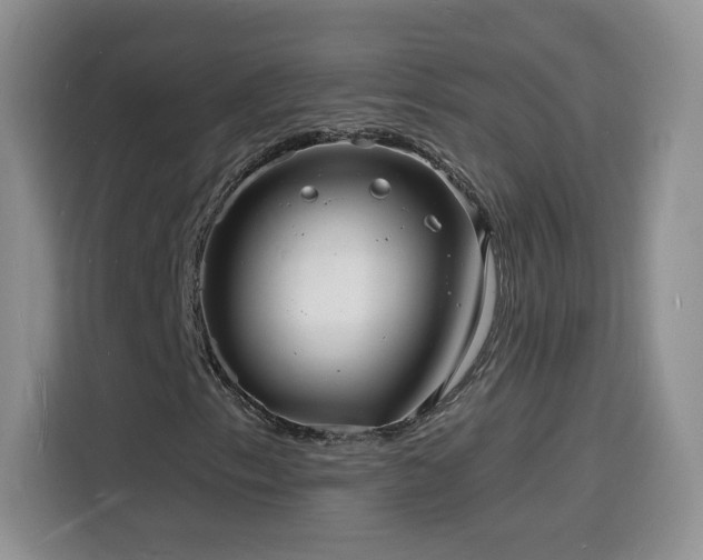 X0000116131153200911231229