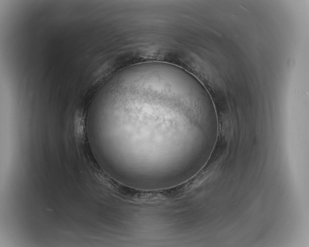 X0000116131154200911231229