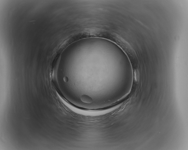X0000116131155200911231229