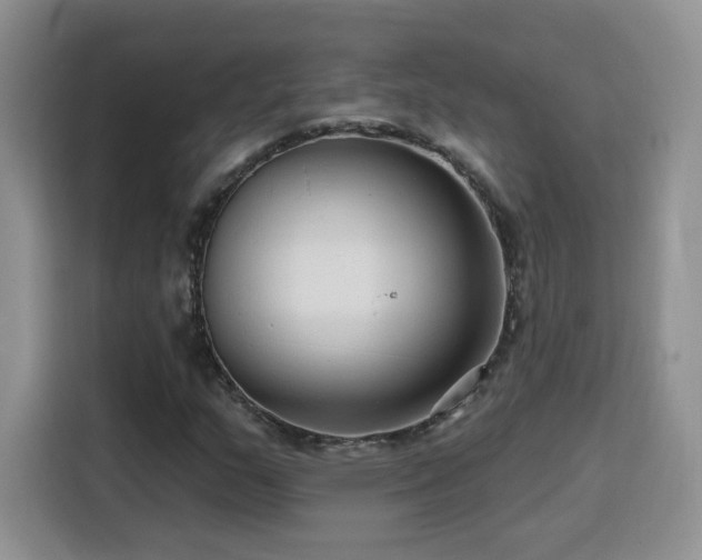 X0000116131159200911231229
