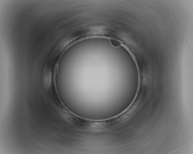 X0000116131161200911231229