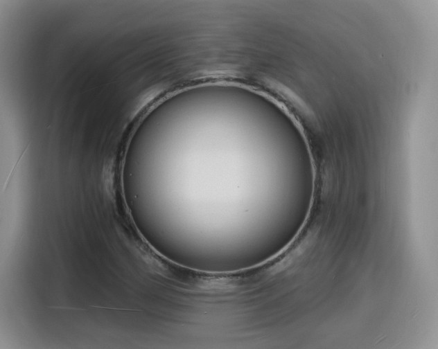 X0000116131162200911231229