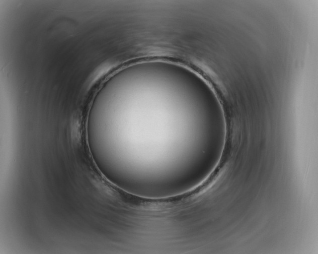 X0000116131163200911231229