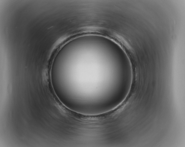 X0000116131164200911231229