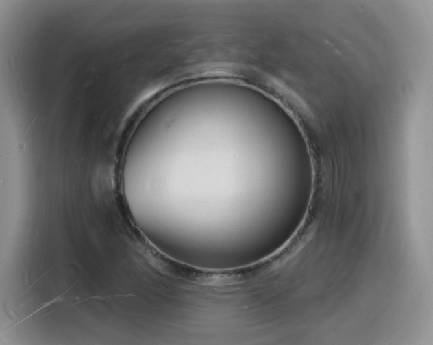 X0000116131166200911231229