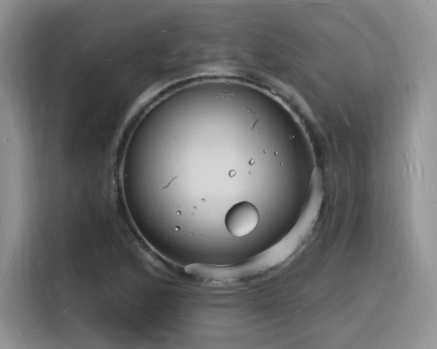 X0000116131168200911231229