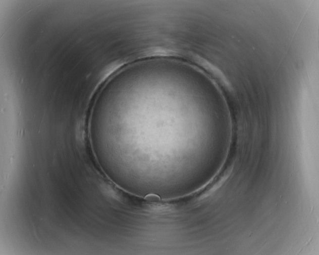 X0000116131170200911231229