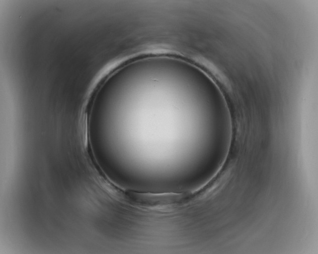 X0000116131175200911231229