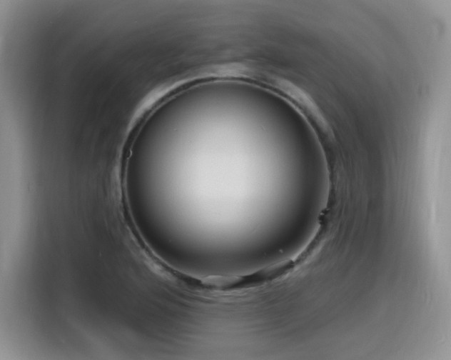 X0000116131176200911231229
