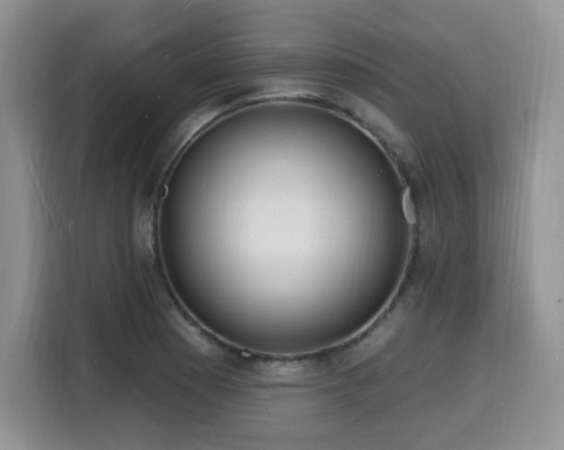 X0000116131177200911231229