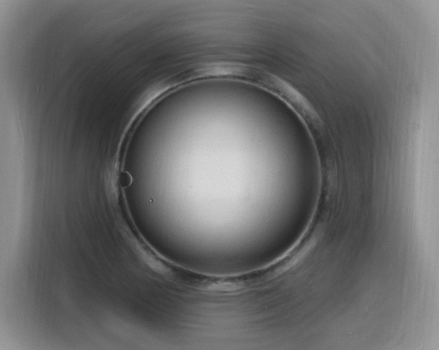X0000116131178200911231229